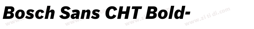 Bosch Sans CHT Bold字体转换
